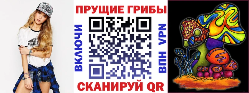 Псилоцибиновые грибы Cubensis  shop официальный сайт  Алагир  купить наркотик 