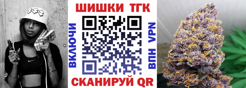 Каннабис сатива  закладки  Алагир 